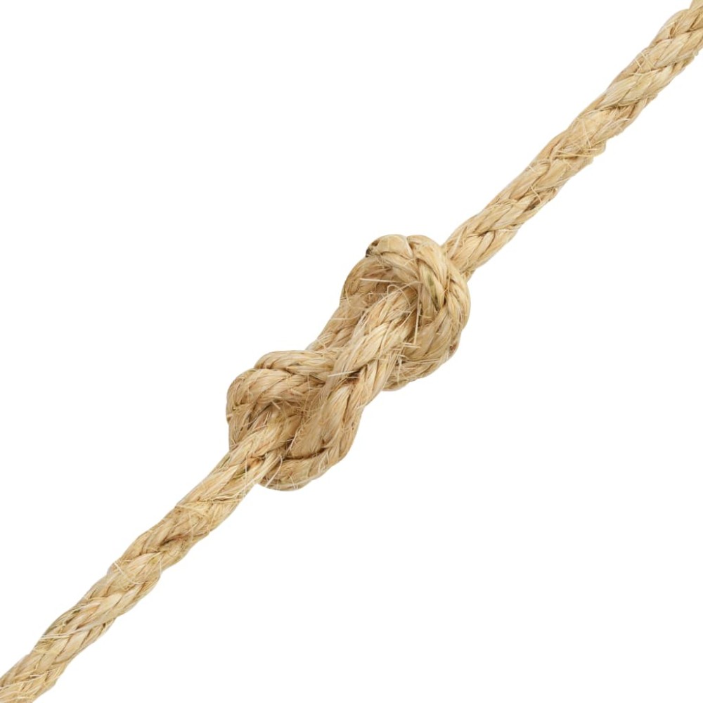 vidaXL Σχοινί 6 χιλ. 100 μ. από 100% Σιζάλ