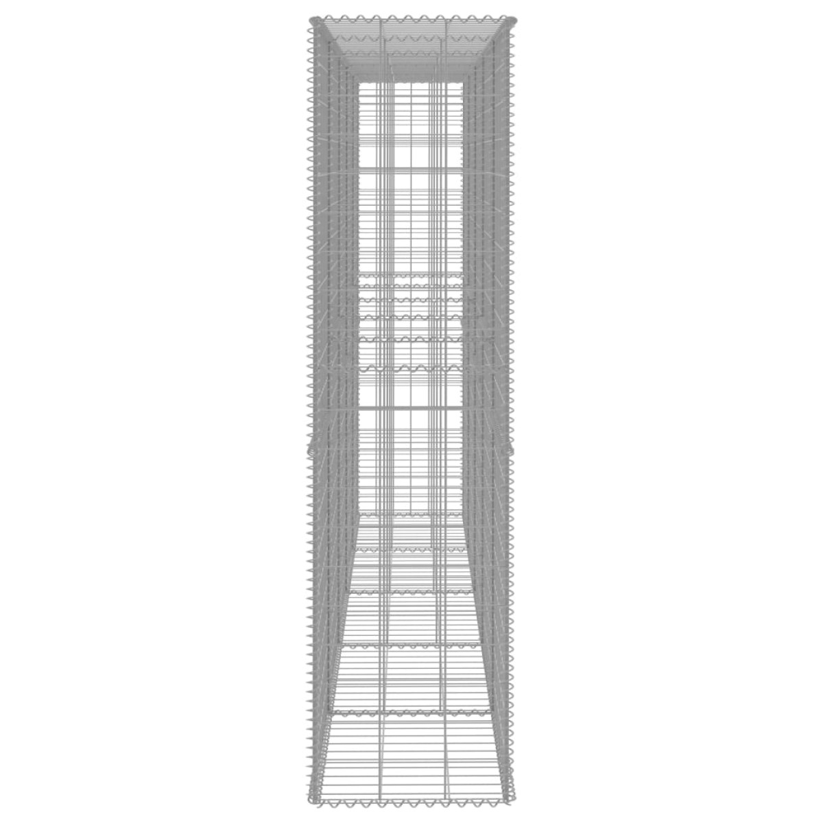 vidaXL Συρματοκιβώτιο Τοίχος 300x50x200 εκ. Γαλβαν.Χάλυβας + Κάλυμμα