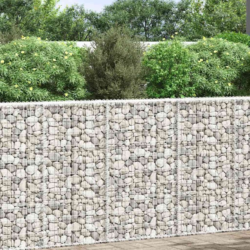 vidaXL Συρματοκιβώτιο-Γλάστρα Υπ. Τραπέζιο 100x20x100 εκ Γαλβ. Χάλυβας