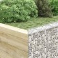 vidaXL Συρματοκιβώτιο-Γλάστρα Υπ. Τραπέζιο 100x20x100 εκ Γαλβ. Χάλυβας