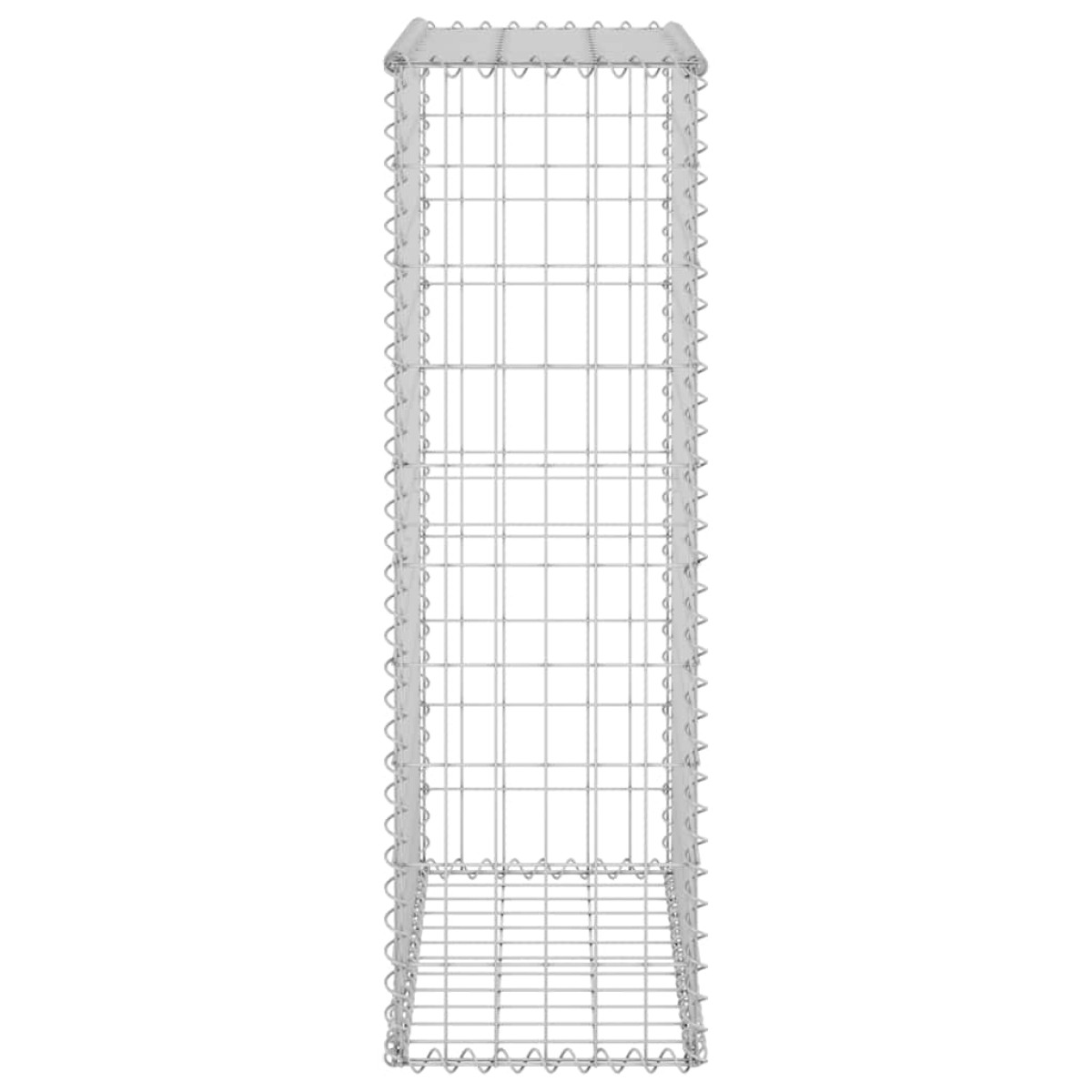 vidaXL Συρματοκιβώτιο Τοίχος 60x30x100 εκ. Γαλβαν. Χάλυβας + Καλύμματα