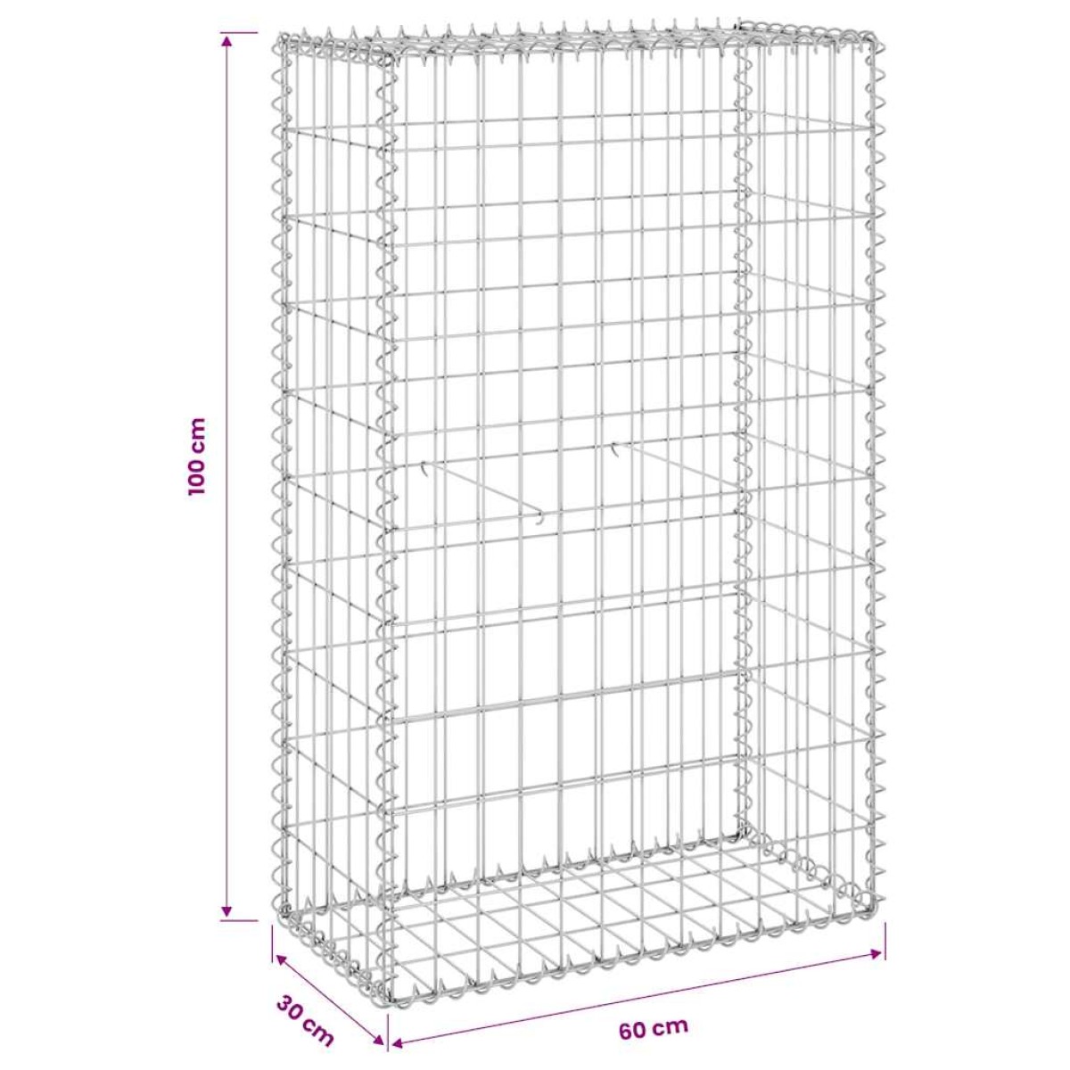 vidaXL Συρματοκιβώτιο Τοίχος 60x30x100 εκ. Γαλβαν. Χάλυβας + Καλύμματα
