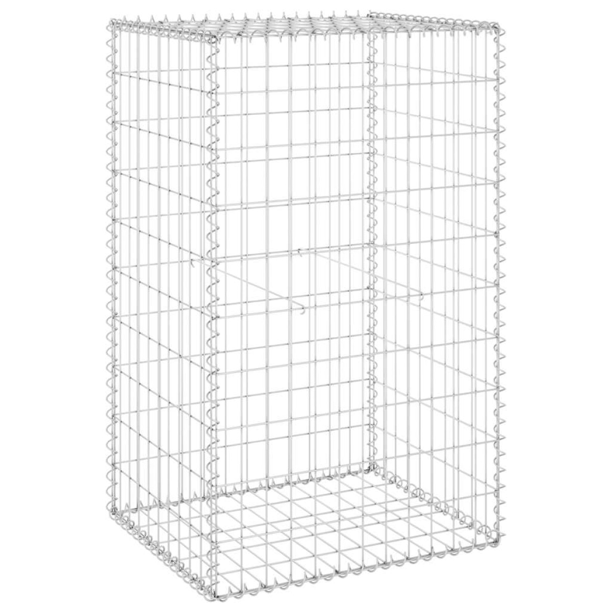 vidaXL Συρματοκιβώτιο Τοίχος 60x50x100 εκ. Γαλβαν. Χάλυβας + Καλύμματα
