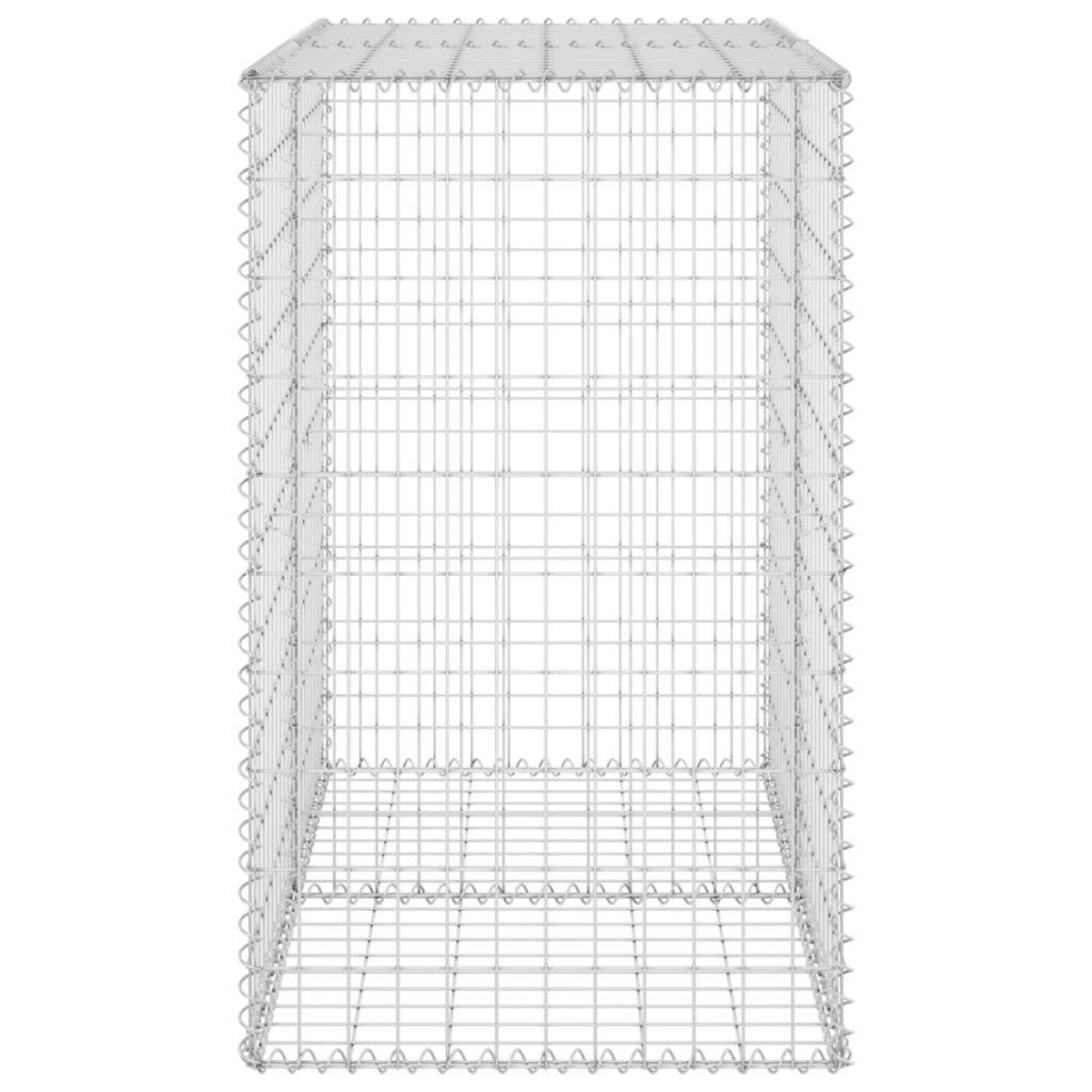 vidaXL Συρματοκιβώτιο Τοίχος 100x60x100 εκ. Γαλβαν.Χάλυβας + Καλύμματα