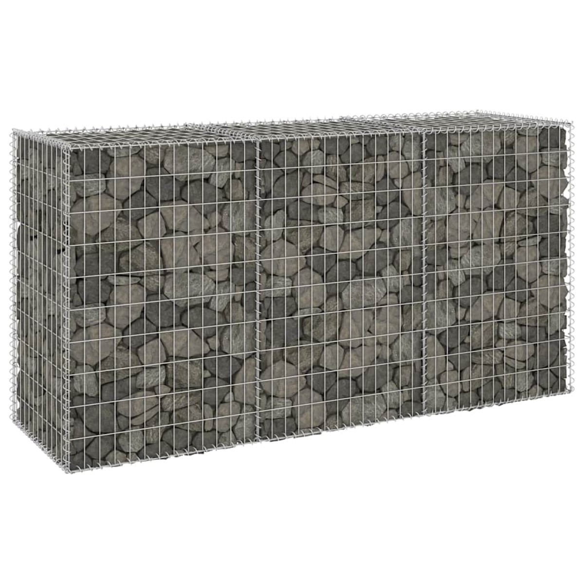 vidaXL Συρματοκιβώτιο Τοίχος 200x60x100 εκ. Γαλβαν.Χάλυβας + Καλύμματα