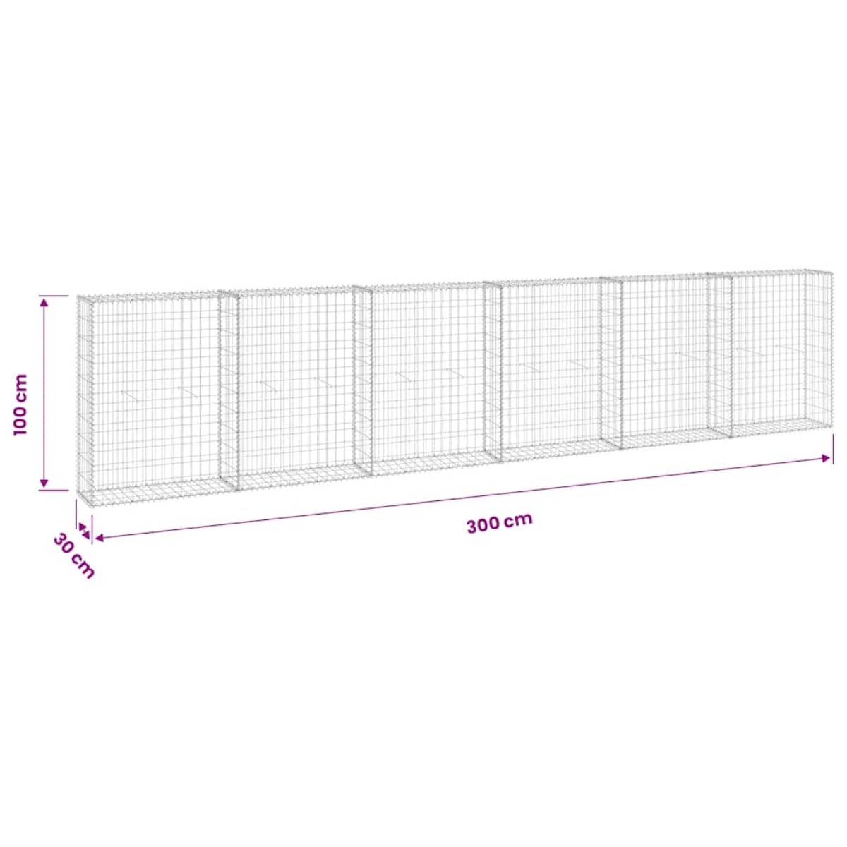 vidaXL Συρματοκιβώτιο Τοίχος 300x30x100 εκ. Γαλβαν.Χάλυβας + Καλύμματα
