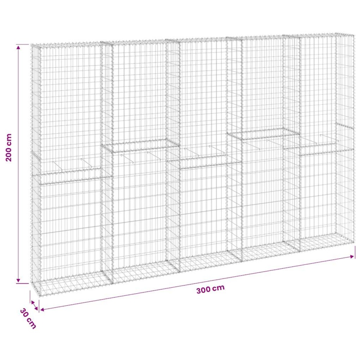 vidaXL Συρματοκιβώτιο Τοίχος 300x30x200 εκ. Γαλβαν.Χάλυβας + Καλύμματα