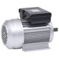 vidaXL Ηλεκτρικός Κινητήρας Μονοφασικός 1,5kW/2HP 2 Πόλοι 2800 RPM