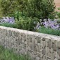 vidaXL Συρματοκιβώτιο-Γλάστρα Υπερυψωμένη 500x100x20 εκ. Γαλβ. Χάλυβας