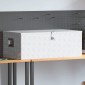 vidaXL Κουτί Αποθήκευσης Ασημί 100x55x37 εκ. από Αλουμίνιο