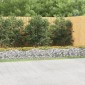 vidaXL Συρματοκιβώτιο Τοξωτό 600x100x50 εκ. από Γαλβανισμένο Σίδερο