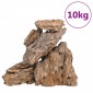 vidaXL Πέτρες Dragon Stones Διάφορα Χρώματα 10 κιλά 10-30 εκ.
