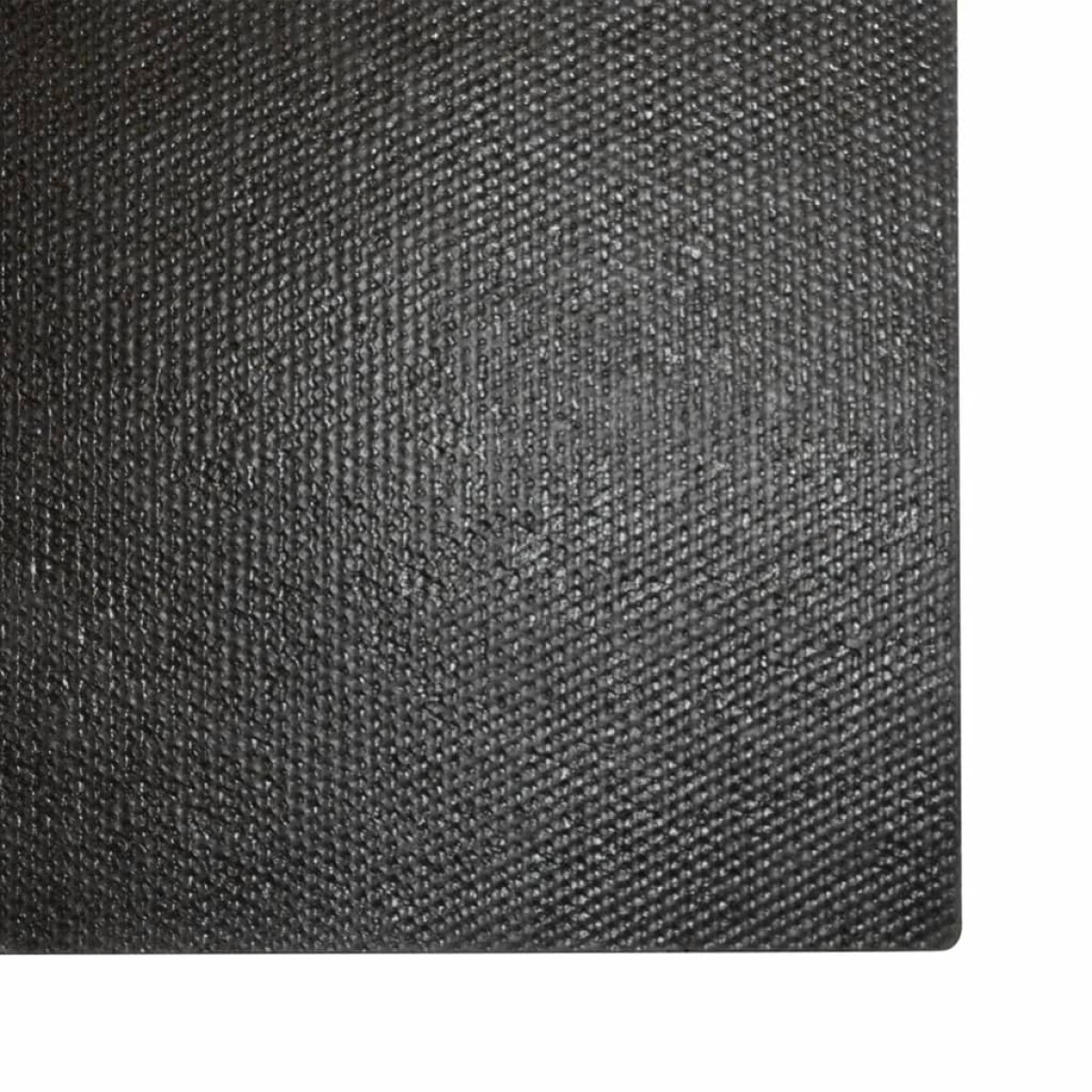 vidaXL Πατάκι Εισόδου Φυσικό 50 x 80 εκ. Θυσανωτός Κοκοφοίνικας