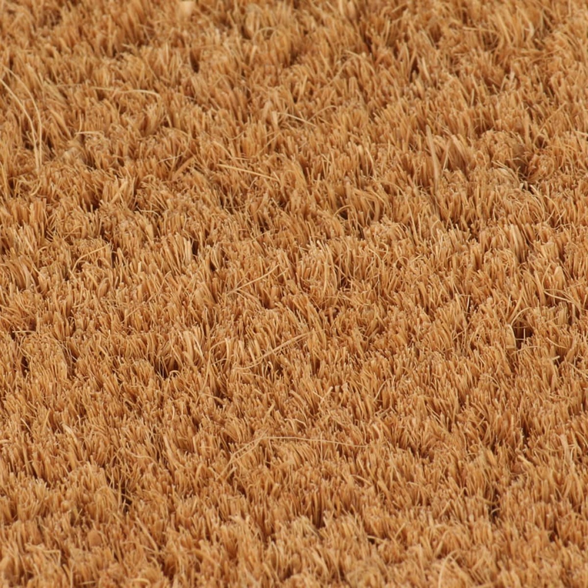 vidaXL Πατάκι Εισόδου Ημικυκλικό Φυσικό 50x80εκ Θυσανωτός Κοκοφοίνικας