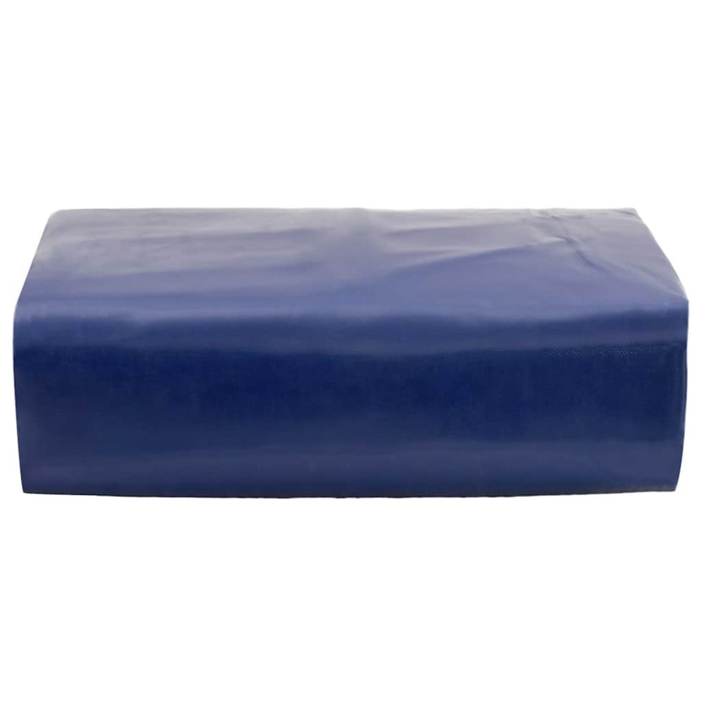 vidaXL Μουσαμάς Μπλε 3 x 6 μ. 650 γρ./μ²
