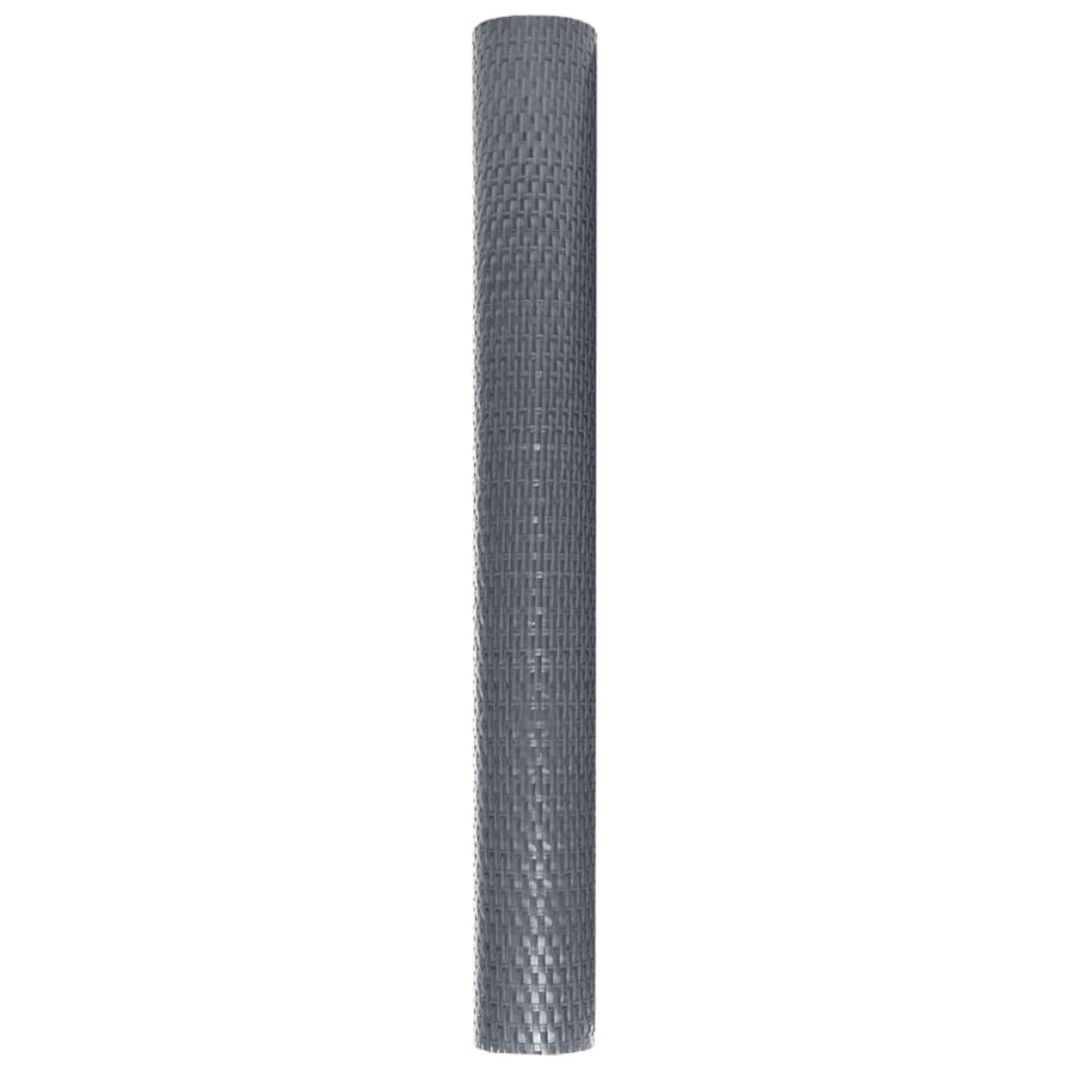 vidaXL Διαχωριστικό Βεράντας Ανθρακί 300 x 100 εκ. από Συνθετικό Ρατάν