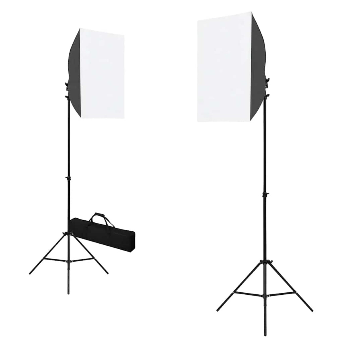 vidaXL Φωτιστικά Studio Επαγγελματικά 2 τεμ. Μαύρα 40x60 εκ. Ατσάλινα