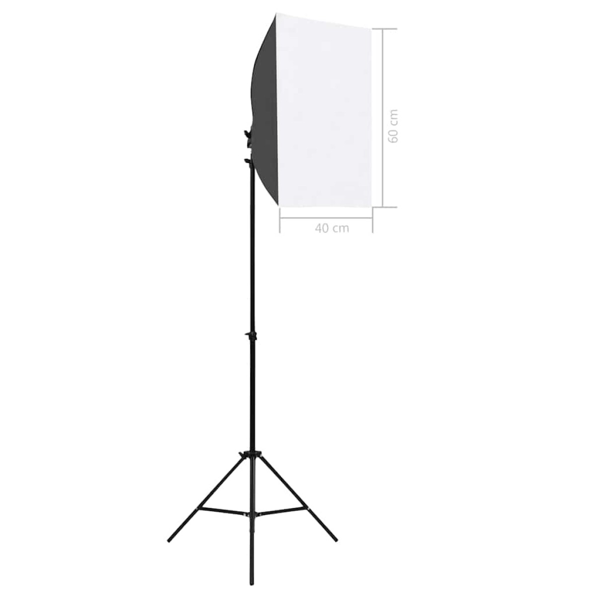 vidaXL Φωτιστικά Studio Επαγγελματικά 2 τεμ. Μαύρα 40x60 εκ. Ατσάλινα