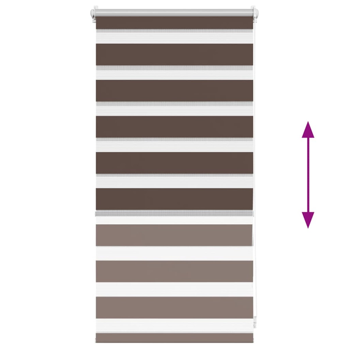 Ρόλερ Zebra Καφέ 40 x 100cm