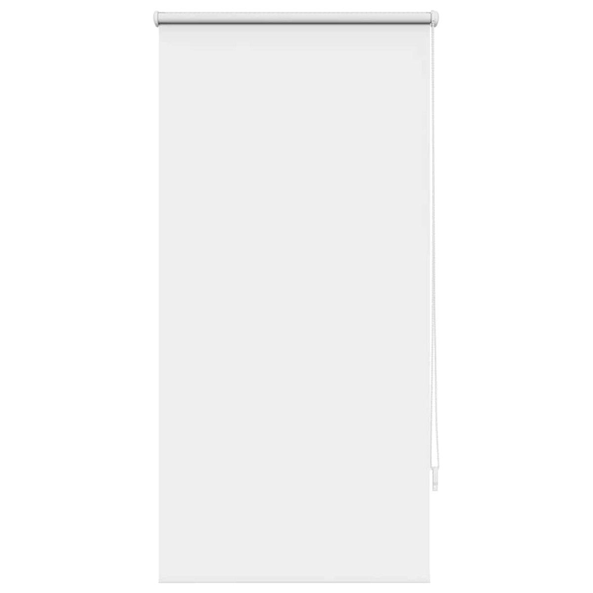 Στόρι Συσκότισης Ρόλερ Λευκό 60 x 120 εκ.