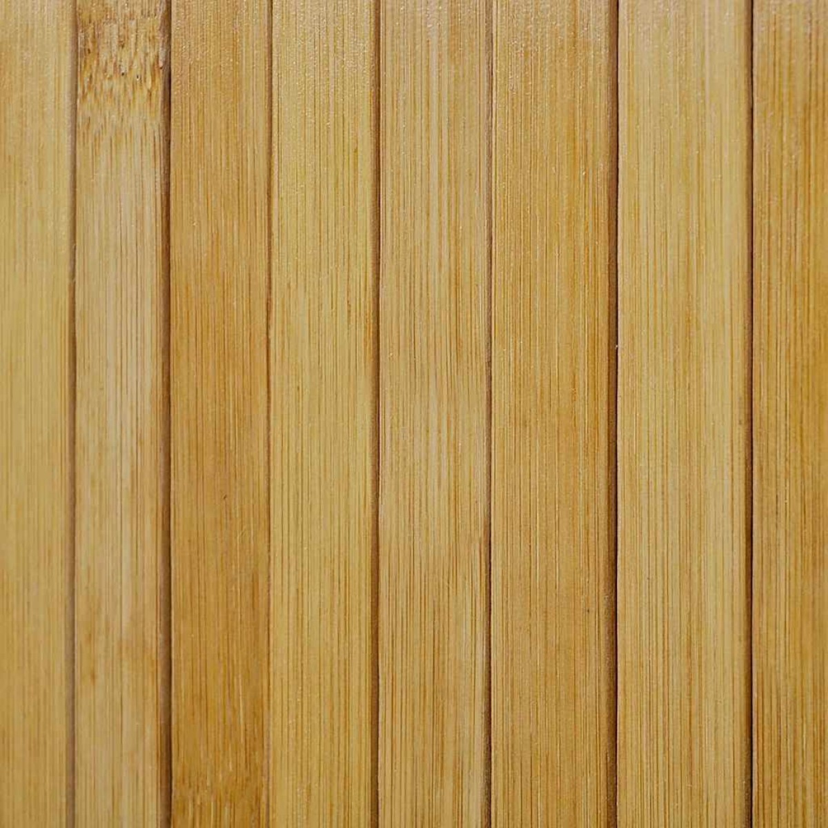 vidaXL Διαχωριστικό Δωματίου σε Φυσικό Χρώμα 250 x 165 εκ. Μπαμπού