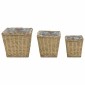 vidaXL Γλάστρες Υπερυψωμένες 3 τεμ. Wicker με Επένδυση Πολυαιθυλενίου