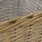 vidaXL Γλάστρες Υπερυψωμένες 3 τεμ. Wicker με Επένδυση Πολυαιθυλενίου