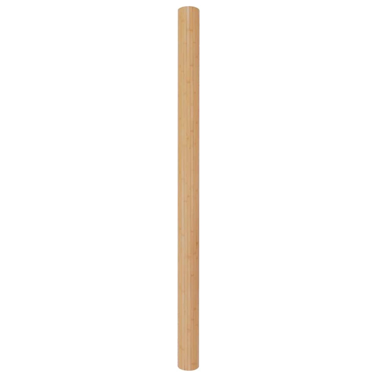 vidaXL Διαχωριστικό Δωματίου σε Φυσικό Χρώμα 250 x 165 εκ. από Μπαμπού