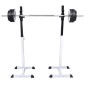 vidaXL Ορθοστάτης Μπάρας/Squat Rack με Σετ Μπάρα και Αλτήρες 60,5 κ.