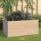 vidaXL Παρτέρια Υπερυψωμένα 3 Τεμ. 80x120 εκ. από Μασίφ Ξύλο Πεύκου