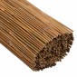 vidaXL Καλαμωτή Περίφραξης 500 x 100 εκ. από Μπαμπού