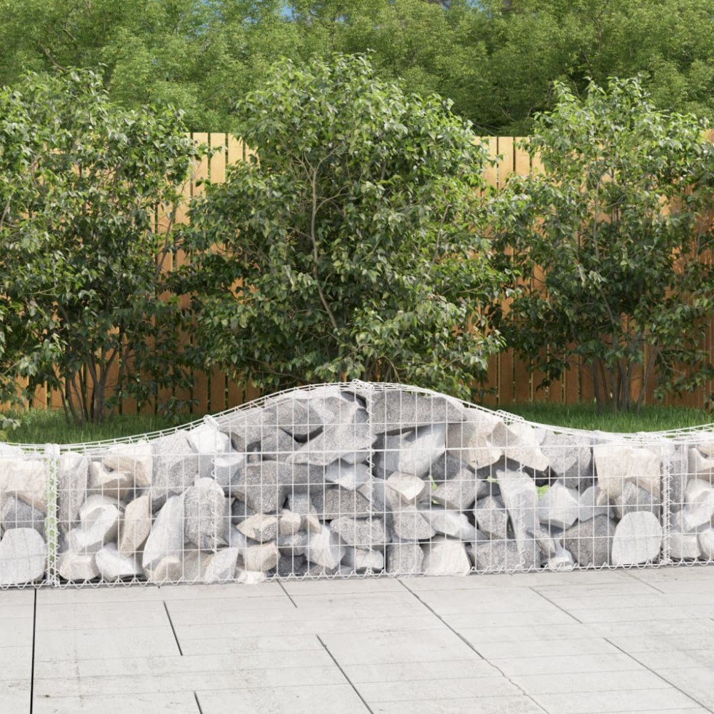 vidaXL Συρματοκιβώτια Τοξωτά 20 τεμ. 200x30x40/60 εκ. Γαλβαν. Ατσάλι