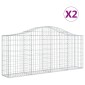 vidaXL Συρματοκιβώτια Τοξωτά 2 τεμ. 200x30x80/100 εκ. Γαλβαν. Ατσάλι