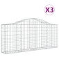 vidaXL Συρματοκιβώτια Τοξωτά 3 τεμ. 200x30x80/100 εκ. Γαλβαν. Ατσάλι