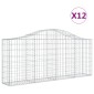 vidaXL Συρματοκιβώτια Τοξωτά 12 τεμ. 200x30x80/100 εκ. Γαλβαν. Ατσάλι