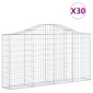vidaXL Συρματοκιβώτια Τοξωτά 30 τεμ. 200x30x100/120 εκ. Γαλβαν. Ατσάλι