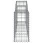 vidaXL Συρματοκιβώτια Τοξωτά 11 τεμ. 200x30x60/80 εκ. Γαλβαν. Ατσάλι