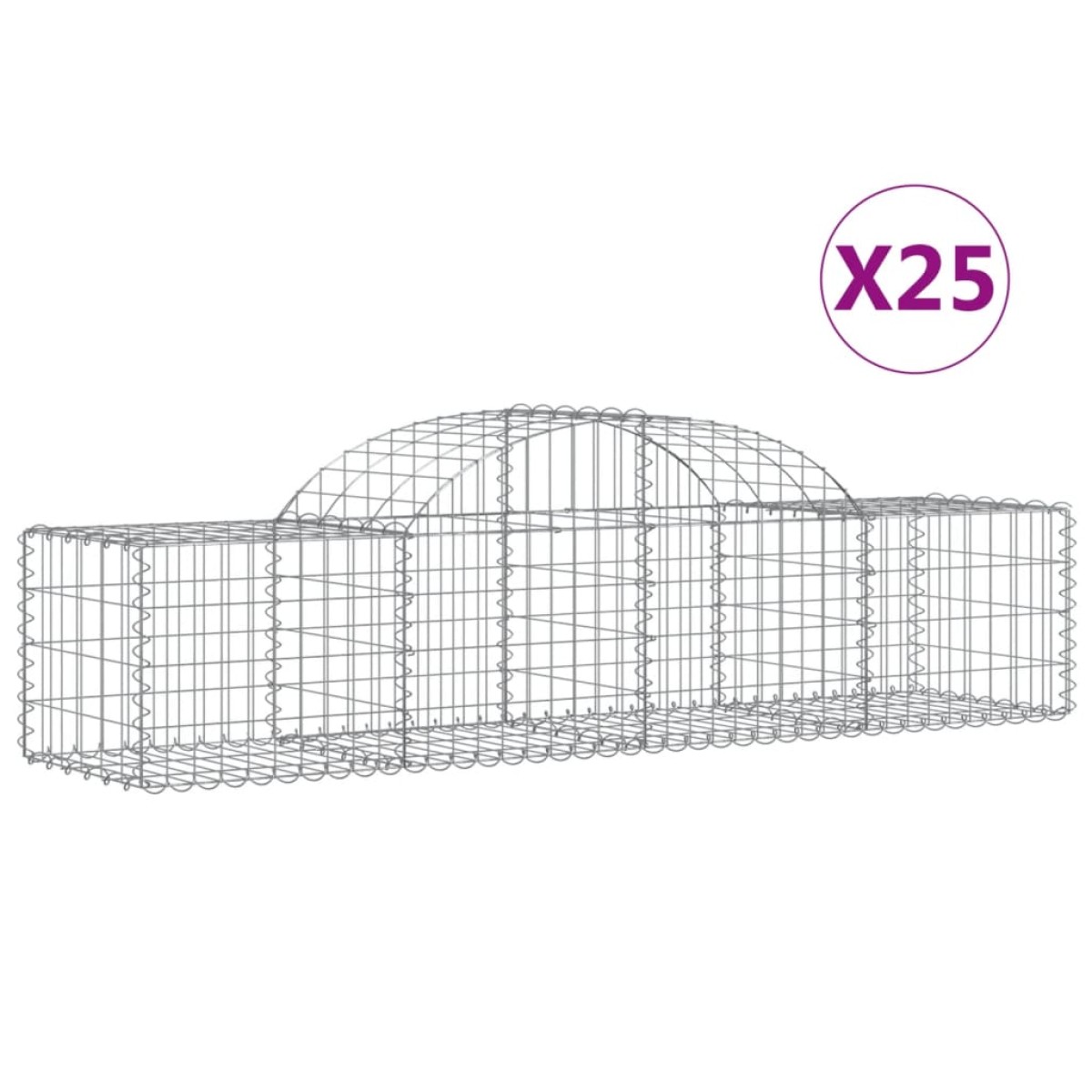 vidaXL Συρματοκιβώτια Τοξωτά 25 τεμ. 200x50x40/60 εκ. Γαλβαν. Ατσάλι
