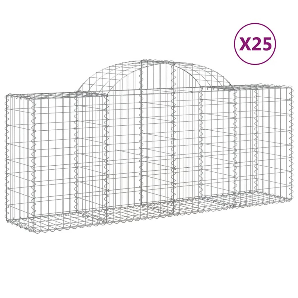 vidaXL Συρματοκιβώτια Τοξωτά 25 τεμ. 200x50x80/100 εκ. Γαλβαν. Ατσάλι