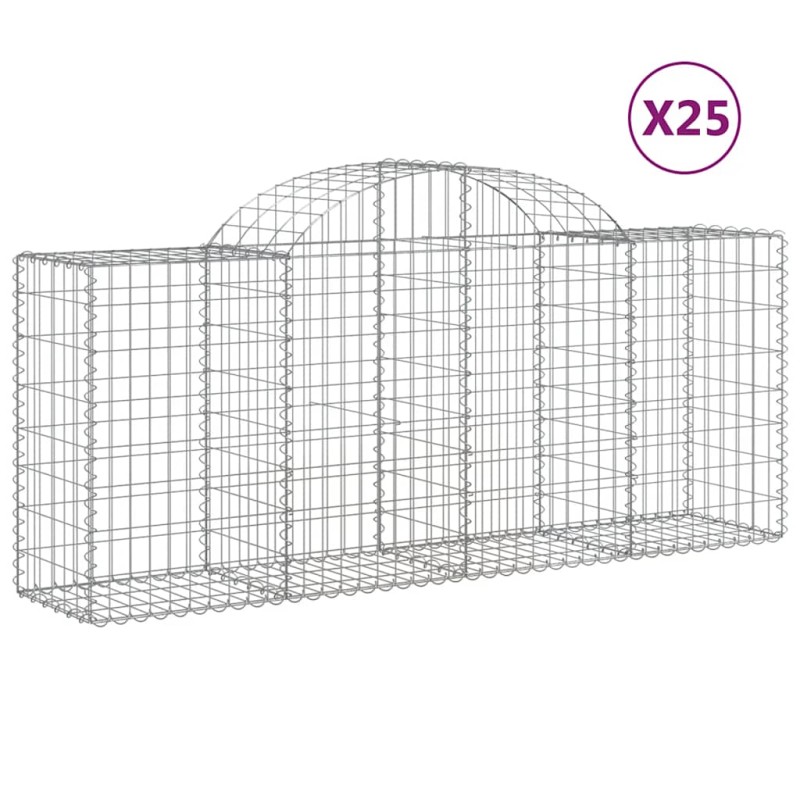 vidaXL Συρματοκιβώτια Τοξωτά 25 τεμ. 200x50x80/100 εκ. Γαλβαν. Ατσάλι