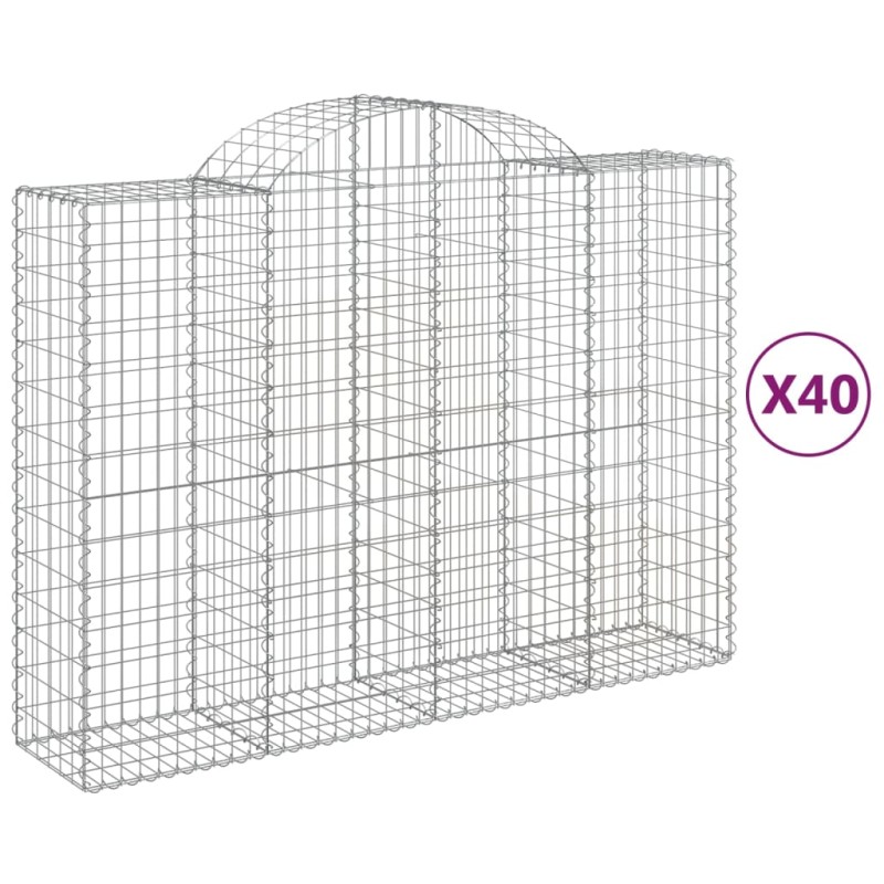 vidaXL Συρματοκιβώτια Τοξωτά 40 τεμ. 200x50x140/160 εκ. Γαλβαν. Ατσάλι