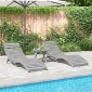 vidaXL Ξαπλώστρες 2 τεμ. Γκρι 184 x 55 x 64 εκ. από Μασίφ Ξύλο Ακακίας