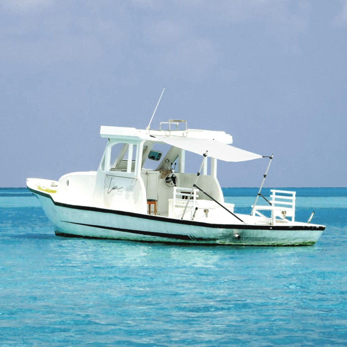 vidaXL Επέκταση Σκιάστρου Σχήμα Τ Λευκή 174x205x(115-194) εκ.