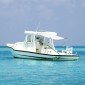 vidaXL Επέκταση Σκιάστρου Σχήμα Τ Λευκή 174x205x(115-194) εκ.