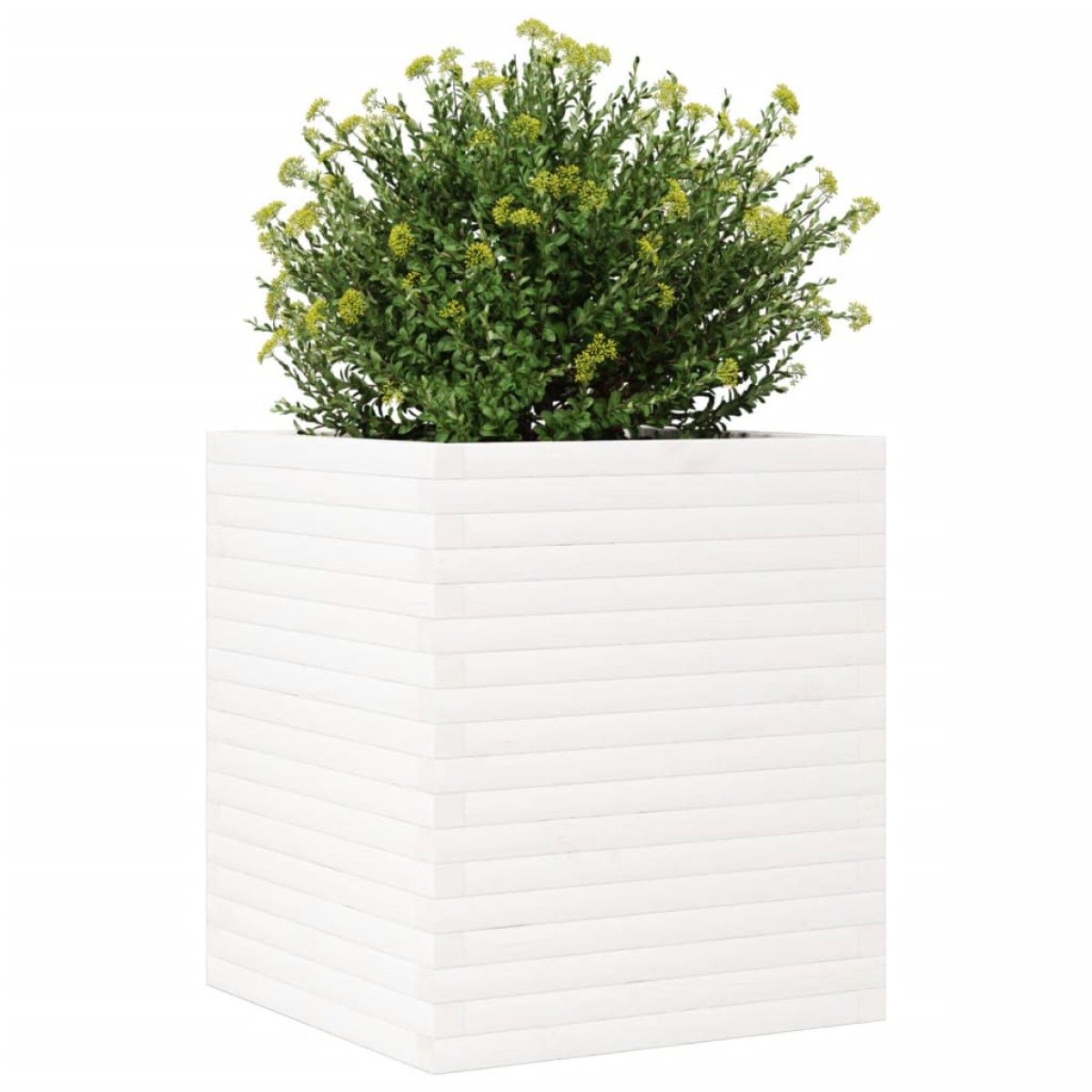 vidaXL Ζαρντινιέρα Κήπου Λευκή 60x60x68,5 εκ. από Μασίφ Ξύλο Πεύκου