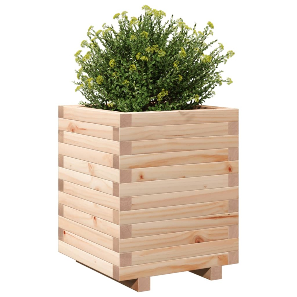 vidaXL Ζαρντινιέρα Λευκή 40x40x49,5 εκ από Μασίφ Ξύλο Πεύκου