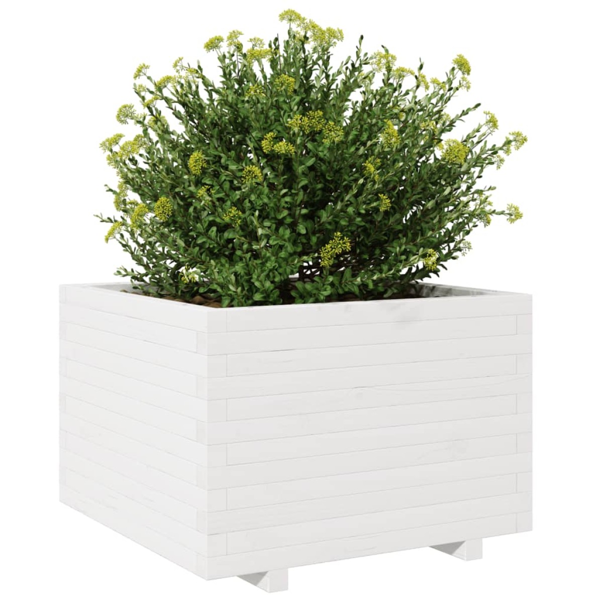 vidaXL Ζαρντινιέρα Κήπου Λευκή 70x70x49,5 εκ. από Μασίφ Ξύλο Πεύκου