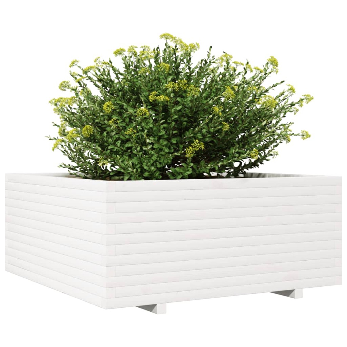 vidaXL Ζαρντινιέρα Κήπου Λευκή 110x110x49,5 εκ. από Μασίφ Ξύλο Πεύκου
