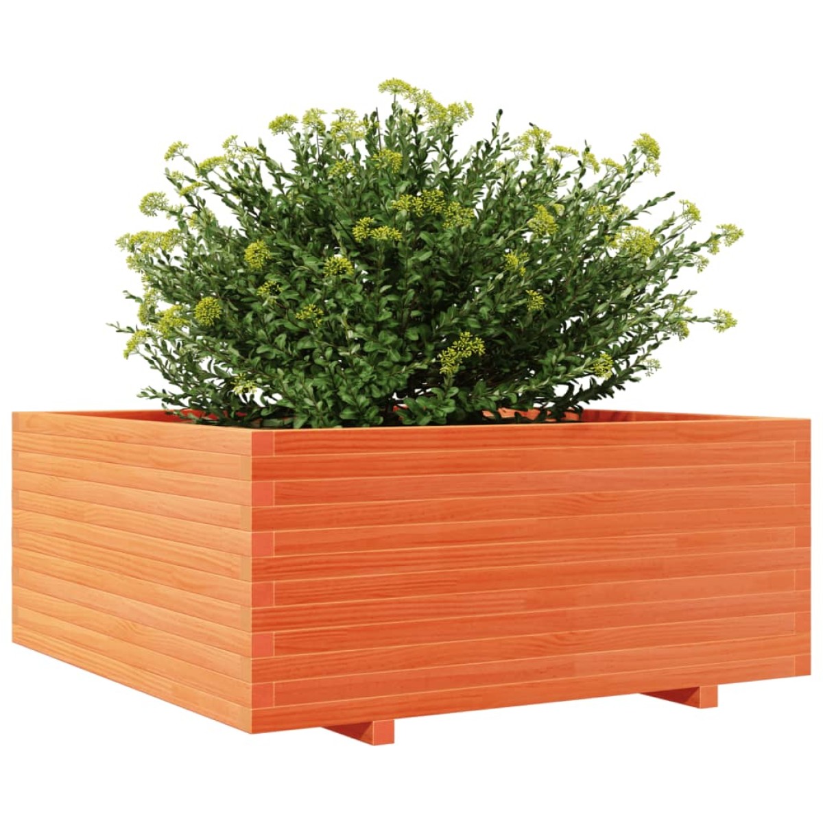 vidaXL Ζαρντινιέρα Καφέ Κεριού 110x110x49,5 εκ. από Μασίφ Ξύλο Πεύκου