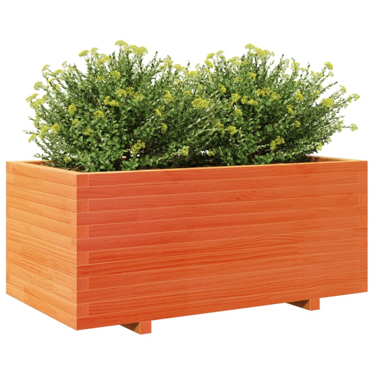 vidaXL Ζαρντινιέρα Καφέ Κεριού 110x60x49,5 εκ. από Μασίφ Ξύλο Πεύκου